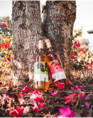 WhatsApp Image 2023-11-30 at 10.48.05 AM